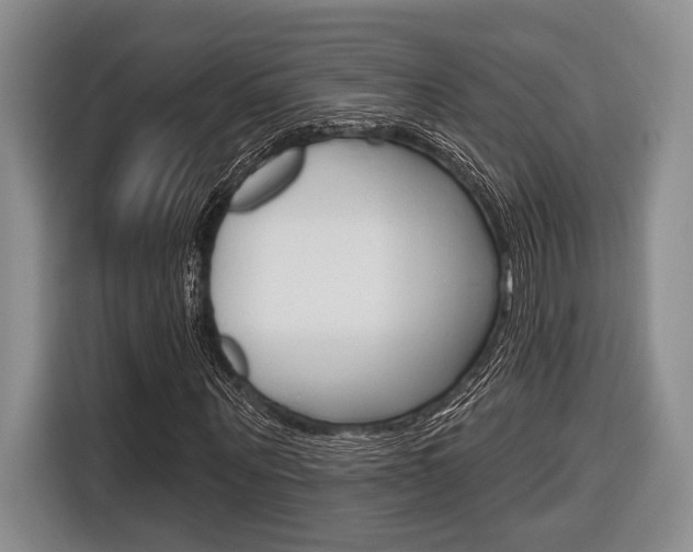 X0000116670867200912140943