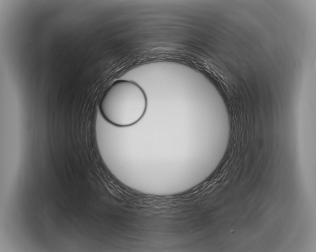 X0000116670868200912140943