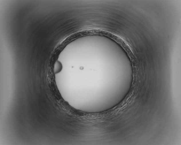 X0000116670871200912140943