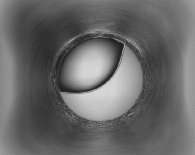 X0000116670872200912140943