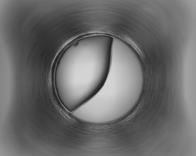 X0000116670884200912140943