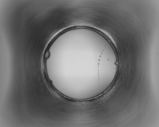 X0000116670887200912140943