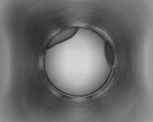 X0000116670889200912140943