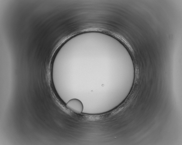 X0000116670890200912140943