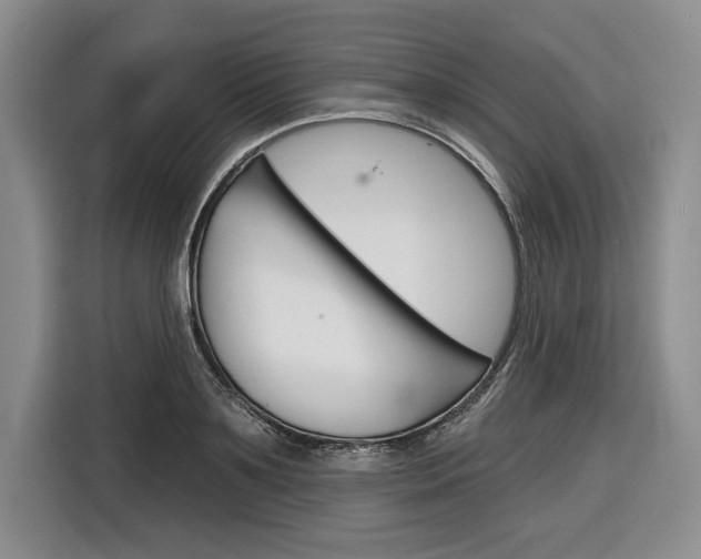 X0000116670891200912140943