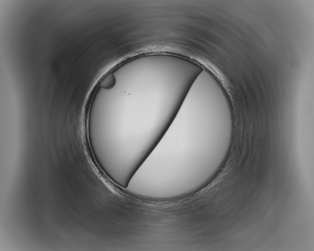 X0000116670894200912140943