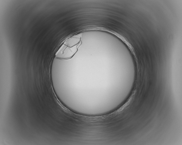 X0000116670897200912140943