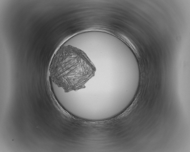 X0000116670900200912140943