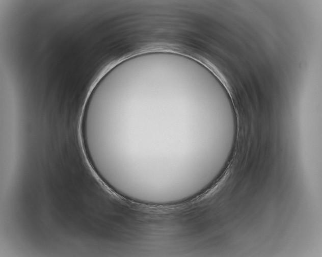 X0000116670901200912140943