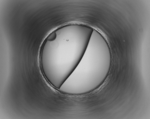 X0000116670902200912140943
