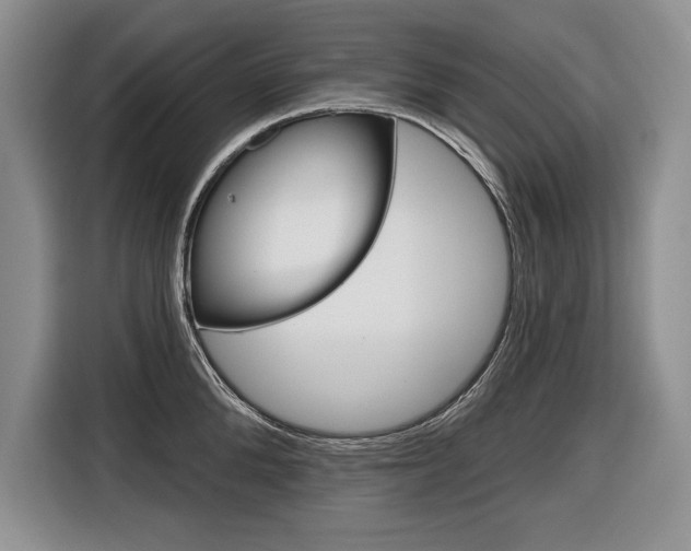 X0000116670904200912140943