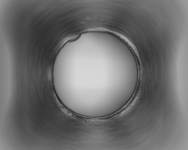 X0000116670905200912140943