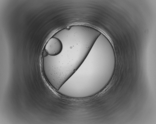 X0000116670906200912140943