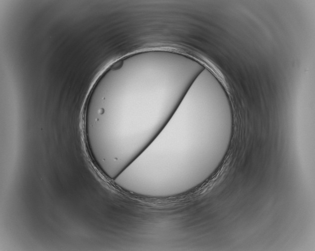 X0000116670907200912140943