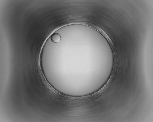 X0000116670908200912140943