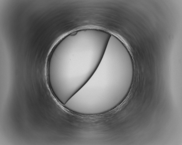 X0000116670910200912140943