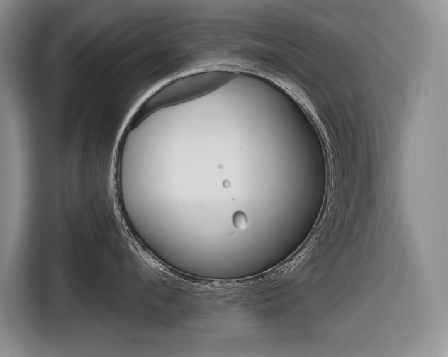 X0000116670912200912140943
