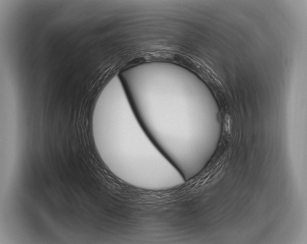 X0000116670915200912140942