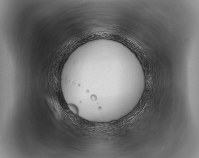X0000116670917200912140942