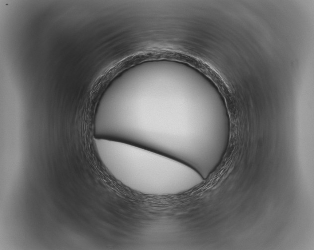 X0000116670919200912140942