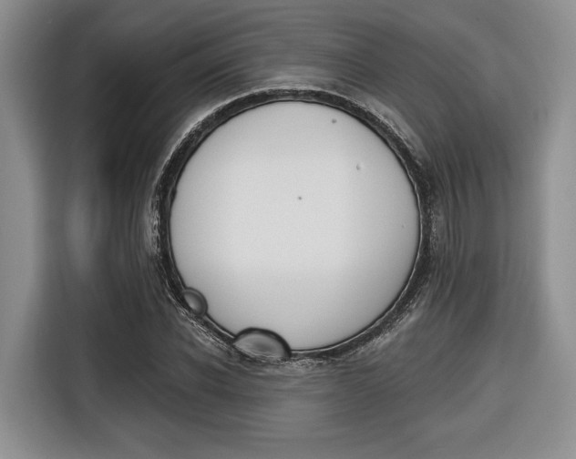 X0000116670926200912140942