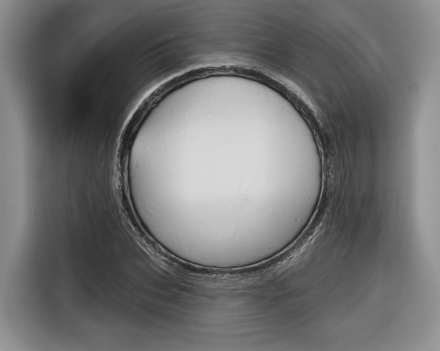 X0000116670927200912140942