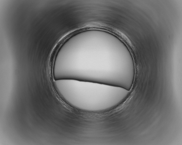 X0000116670931200912140942