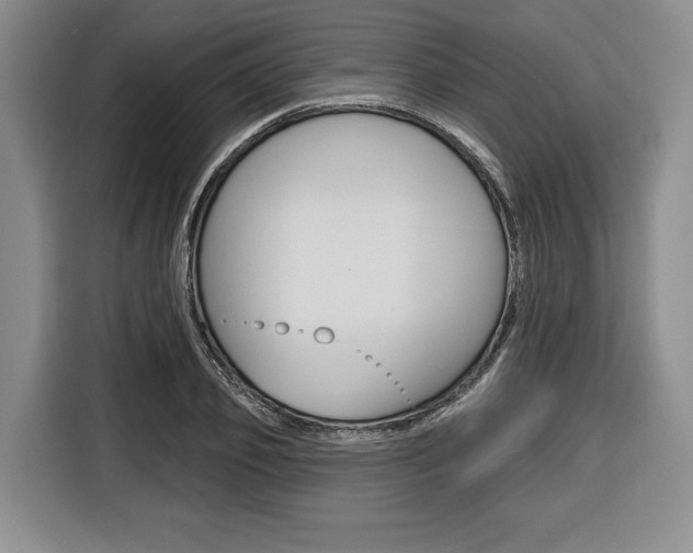 X0000116670933200912140942