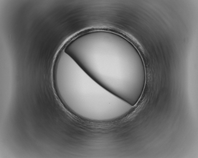 X0000116670935200912140942