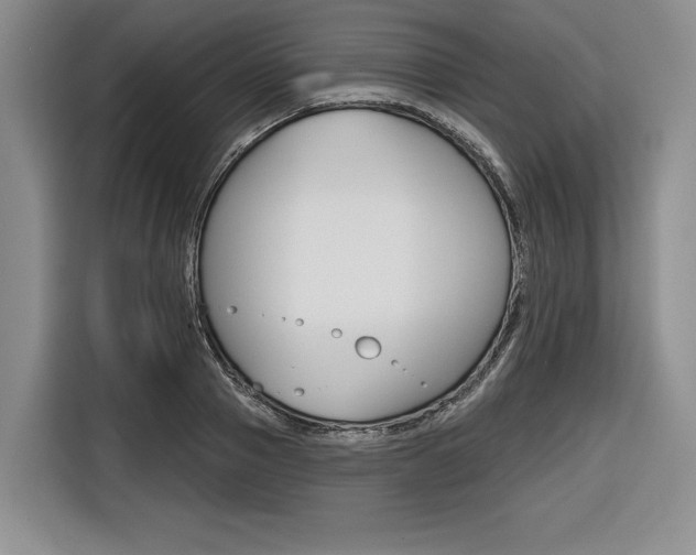 X0000116670937200912140942