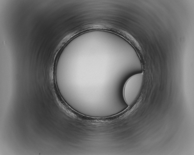 X0000116670938200912140942