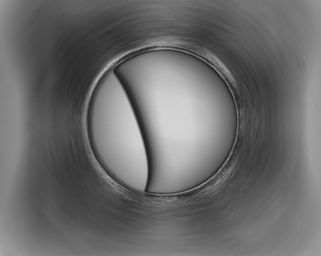 X0000116670939200912140942