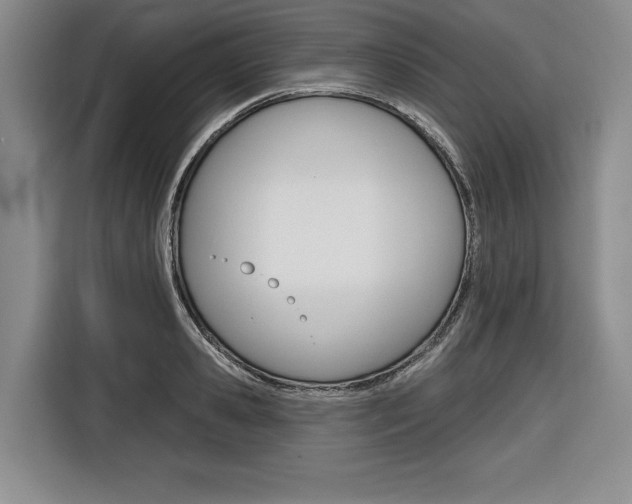 X0000116670941200912140942