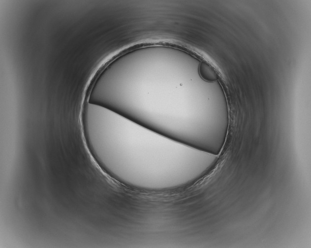 X0000116670943200912140942