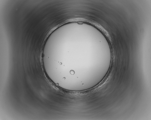 X0000116670945200912140942