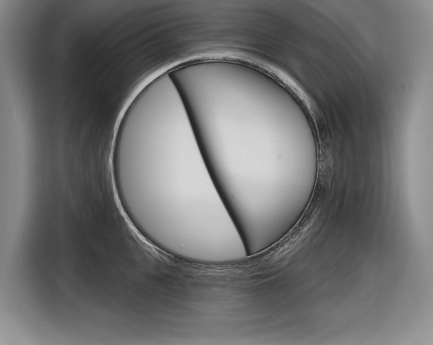 X0000116670951200912140942