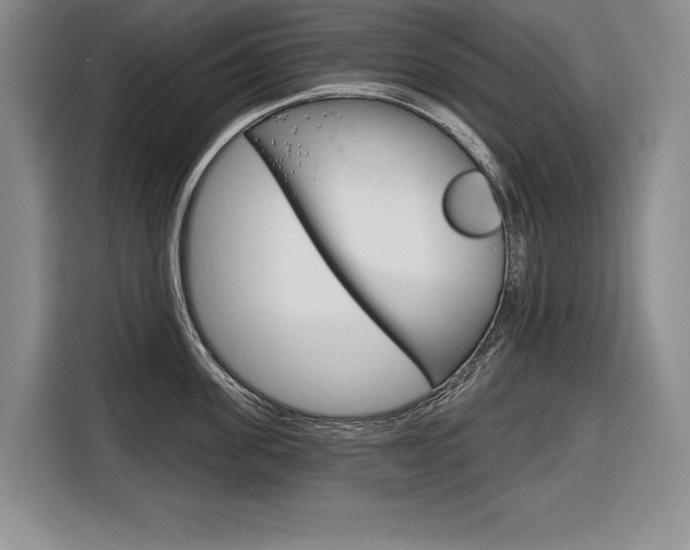 X0000116670955200912140943