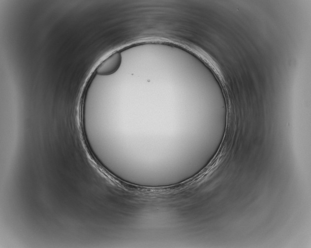X0000116670958200912140943