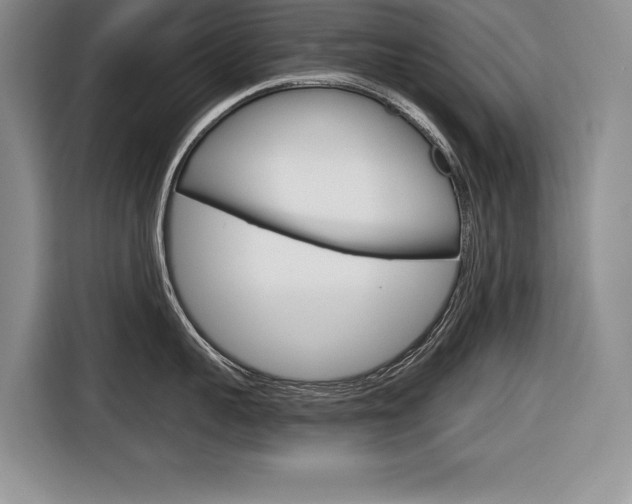 X0000116670959200912140943