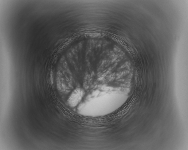 X0000116670962200912140942