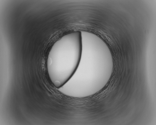 X0000116670964200912140942