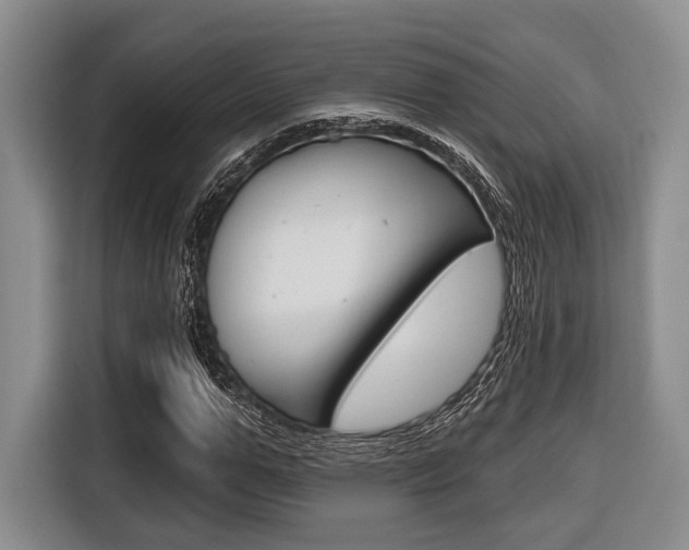 X0000116670967200912140942
