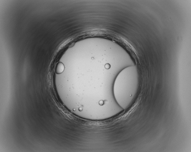 X0000116670970200912140942