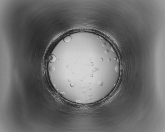 X0000116670974200912140942