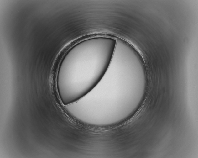 X0000116670975200912140942