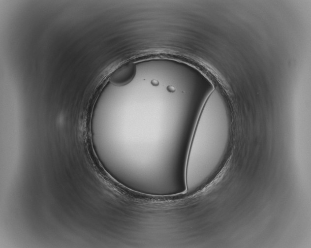 X0000116670977200912140942