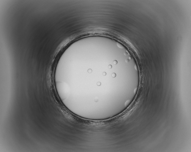 X0000116670978200912140942