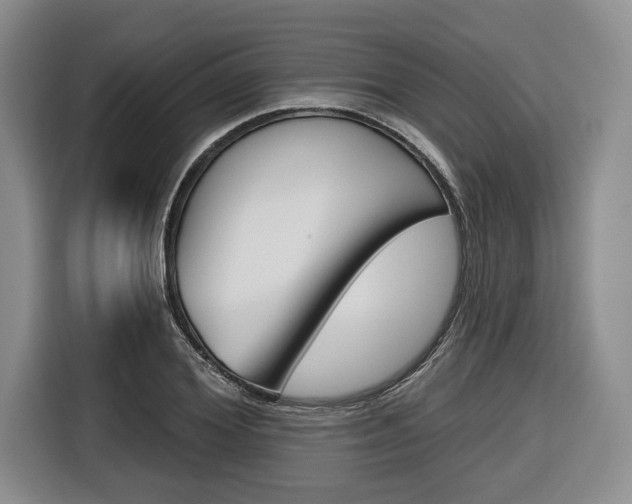 X0000116670980200912140942