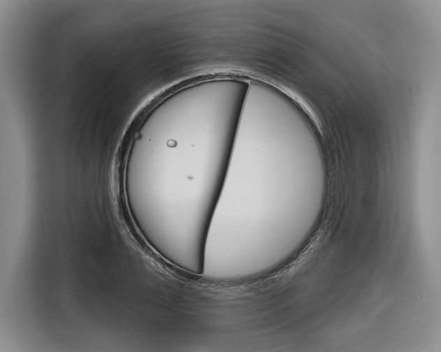 X0000116670983200912140942