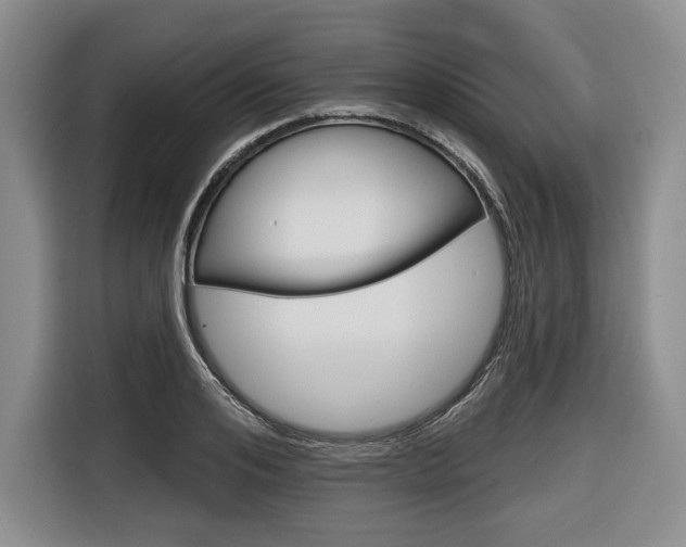 X0000116670984200912140942